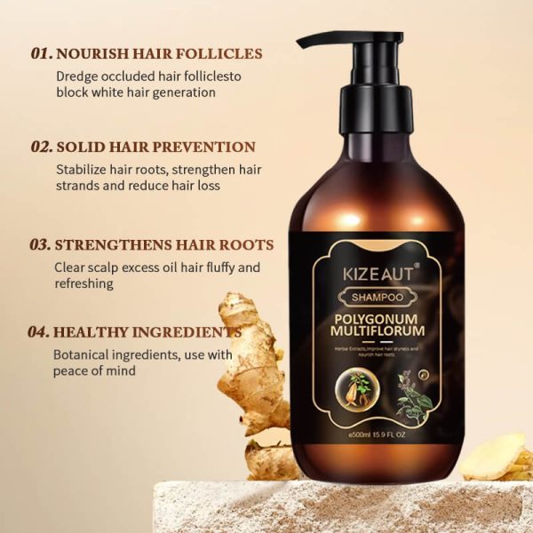 Herbal Ginger Polygonum Hair Follicle Nourishing Anti Shedding Shampoo