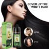 KIZEAUT Avocado Herbal Black Hair Dye Shampoo, Ammonia & PPD Free Home Hair Color for Gray Hair Coverage