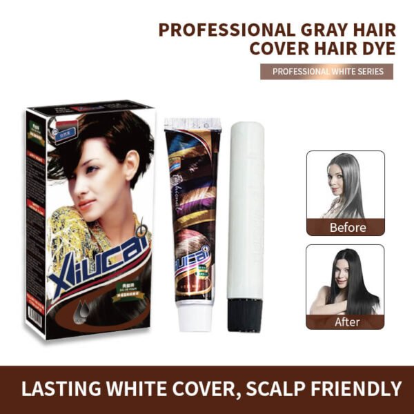 KIZEAUT Xiucai 3-Step At Home DIY Hair Color Cream Kit