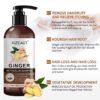 KIZEAUT Ginger Anti-Hairloss Shampoo