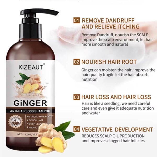 KIZEAUT Ginger Anti-Hairloss Shampoo