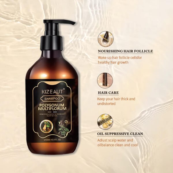 Herbal Ginger Polygonum Hair Follicle Nourishing Anti Shedding Shampoo