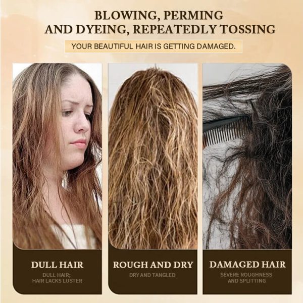 KIZEAUT luminous hair oil serves as daily maintenance treatment for hair impaired by perming and coloring