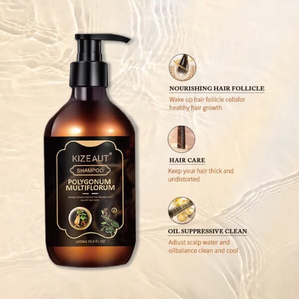 Herbal Ginger Polygonum Hair Follicle Nourishing Anti Shedding Shampoo
