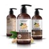 KIZEAUT Ginger Anti-Hairloss Shampoo