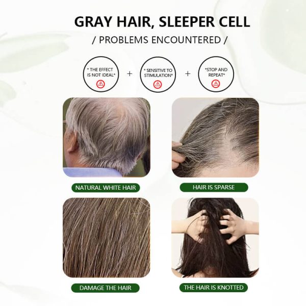 KIZEAUT Argan Oil Quick Black Hair Color Shampoo Bulk Factory Supply | Custom Logo & Formula Available