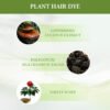 KIZEAUT Plant-Based Bubble Hair Color Dye