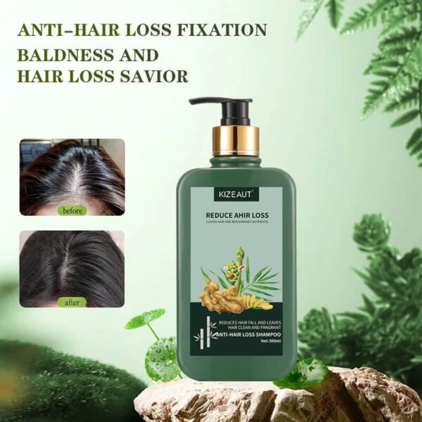 KIZEAUT Ginger Extract Anti Hair Loss Shampoo Cleanses Scalp Nourish Hair Root Reduce Hair Fall 500ml