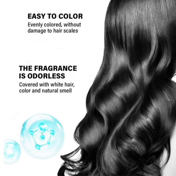 KIZEAUT One Wash Black Hair Dye Shampoo, No Mix Required Natural Plant Bubble Hair Color