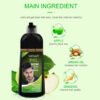 KIZEAUT Black Hair Dye Shampoo, Gray Hair Coverage Hair Colorant