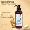 KIZEAUT Biotin Anti-Hair Fall Shampoo effectively relieves diverse hair shedding troubles.