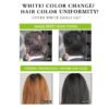KIZEAUT Olive Bubble Hair Dye Shampoo – Fast Black Hair Color