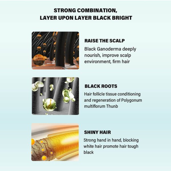 KIZEAUT One Wash Black Hair Dye Shampoo, No Mix Required Natural Plant Bubble Hair Color