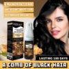 KIZEAUT Herbal One Comb Black Hair Dye Shampoo