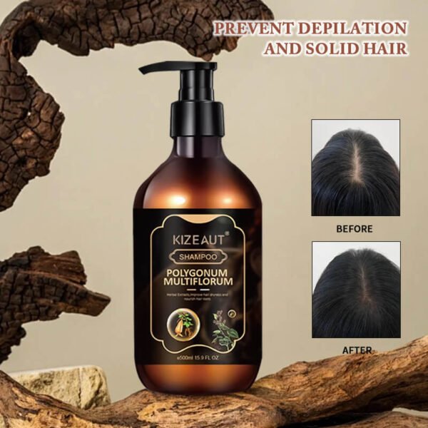 Herbal Ginger Polygonum Hair Follicle Nourishing Anti Shedding Shampoo