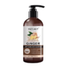 KIZEAUT Ginger Anti-Hairloss Shampoo
