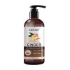 KIZEAUT Ginger Anti-Hairloss Shampoo
